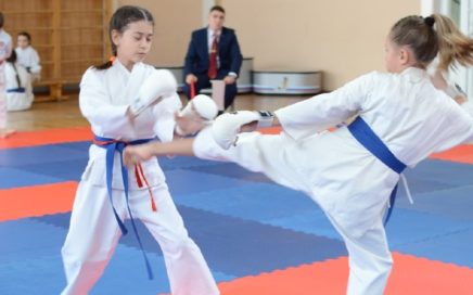 Чемпионат по ВБЕ