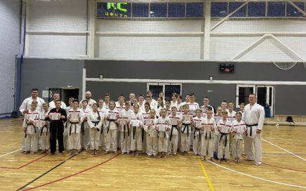 Технический семинар по каратэ