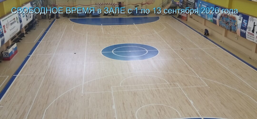 СВОБОДНЫЕ ЧАСЫ в ИГРОВОМ ЗАЛЕ (ФУТБОЛ, ВОЛЕЙБОЛ)
