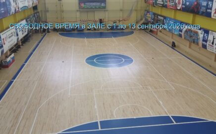 СВОБОДНЫЕ ЧАСЫ в ИГРОВОМ ЗАЛЕ (ФУТБОЛ, ВОЛЕЙБОЛ)